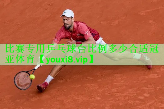比赛专用乒乓球台比例多少合适冠亚体育