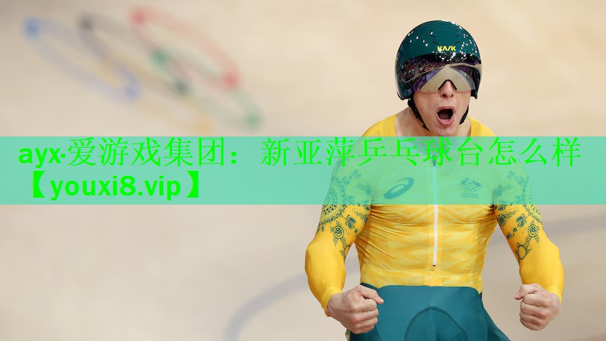 ayx·爱游戏集团：新亚萍乒乓球台怎么样