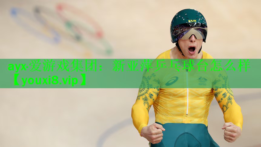 新亚萍乒乓球台怎么样
