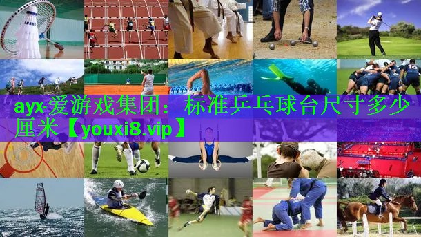 标准乒乓球台尺寸多少厘米